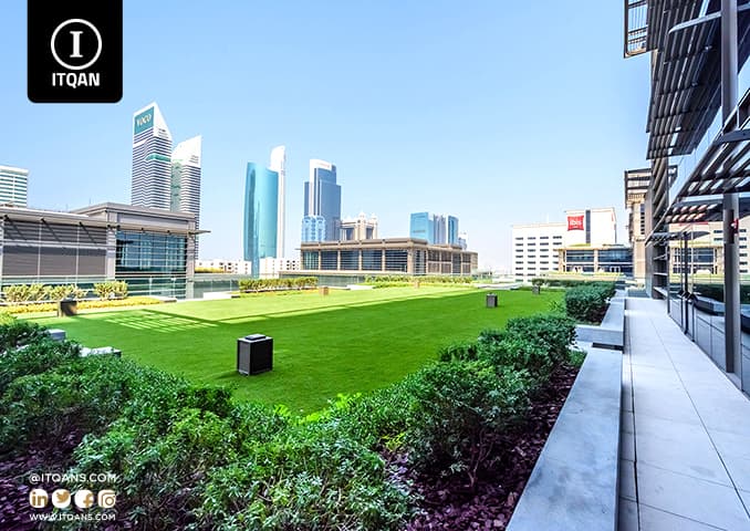 المنطقة الحرة الفري زون